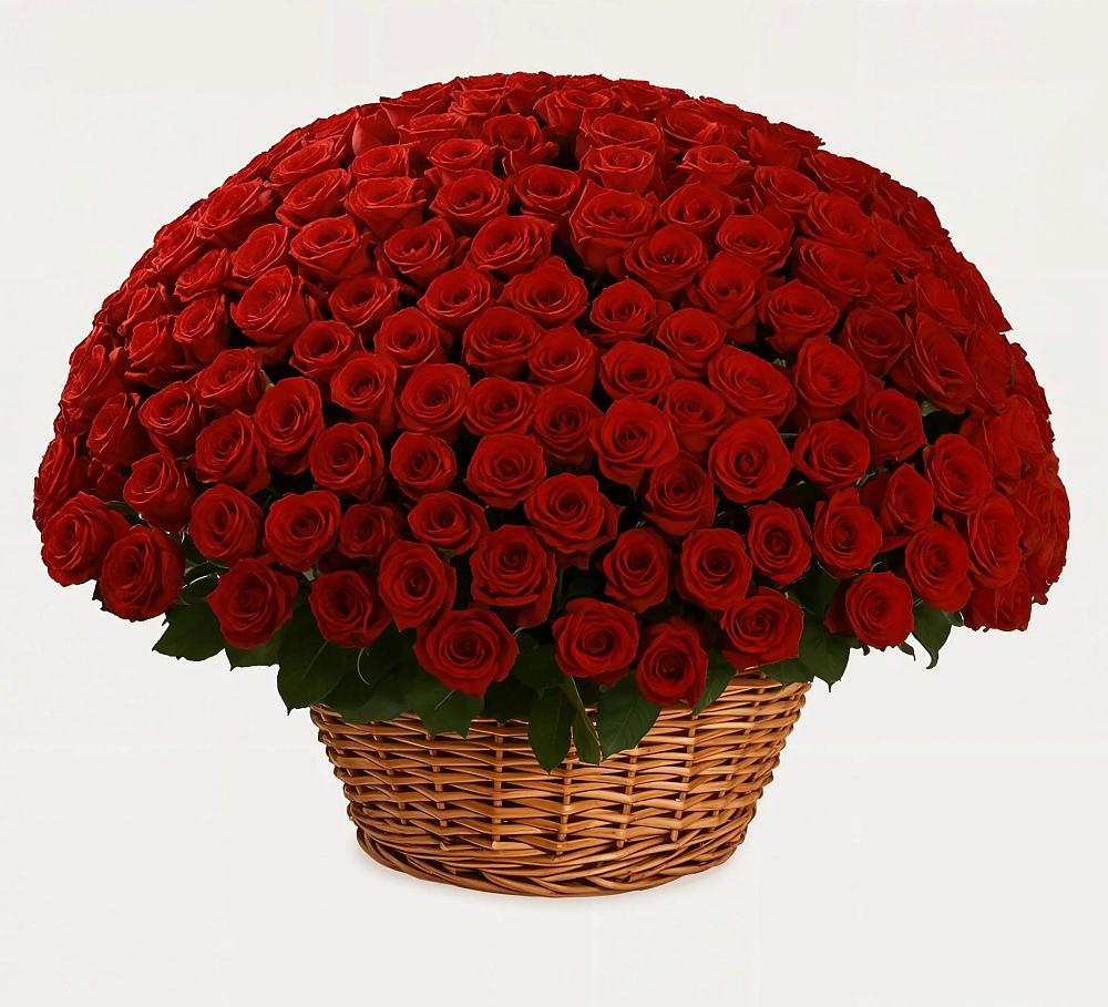 251 Премиум красная роза в Грибки Премиум букет из: Розы в Грибки